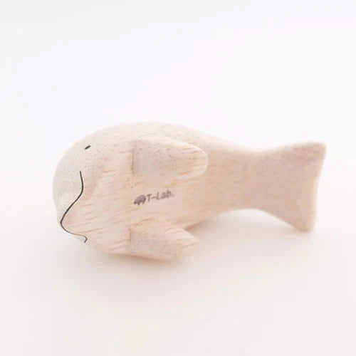 Dolphin