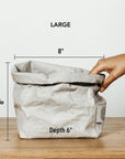 Paper Bag : Metallic - Platino
