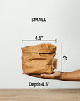 Paper Bag : Metallic - Platino