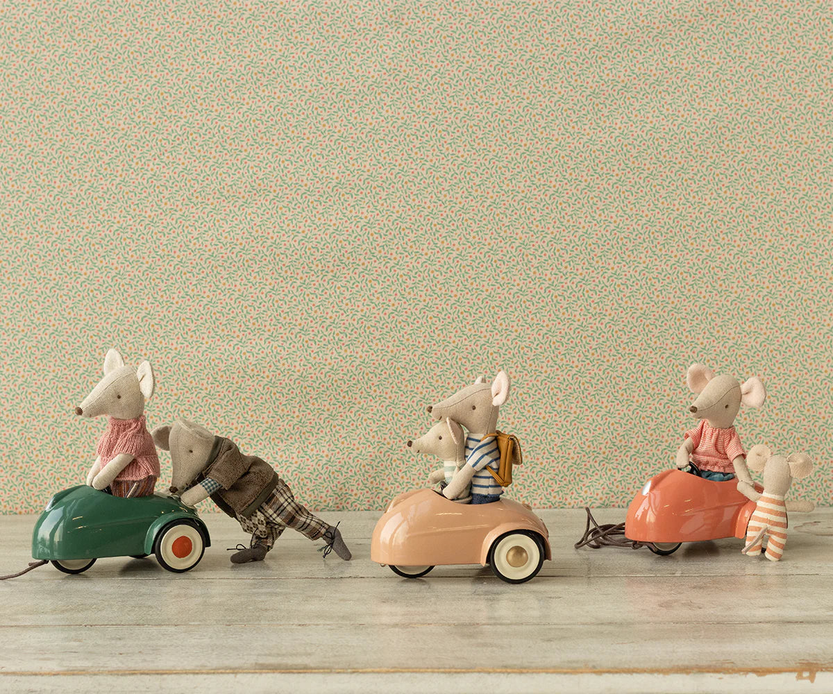 Mouse Car: Coral