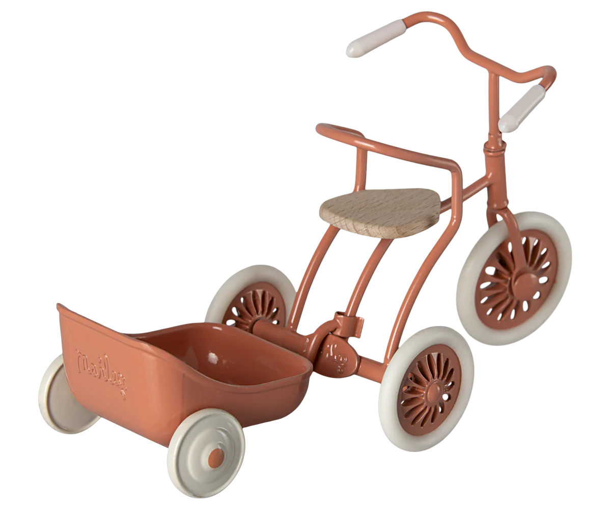 Tricycle Hanger - Coral