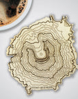 Mt St Helens Topography Coaster - Single