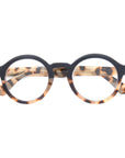 DAN | Black Tortoise | Blue Light Readers