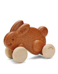Push Along Bunny - Brown