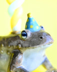Toad Cake Topper