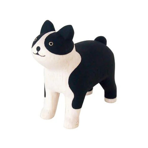 Boston Terrier