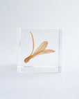 Ant Tree Cube