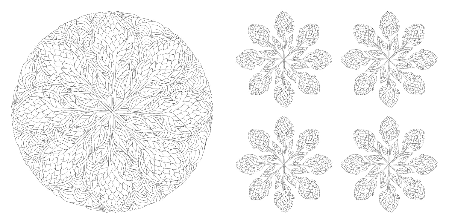 Floral Mandalas Coloring Book