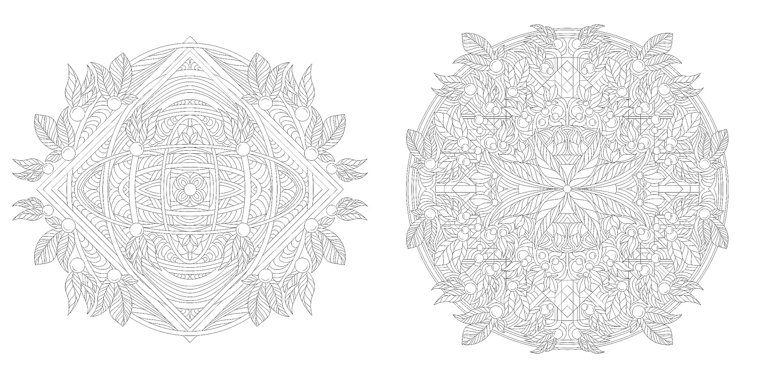 Floral Mandalas Coloring Book