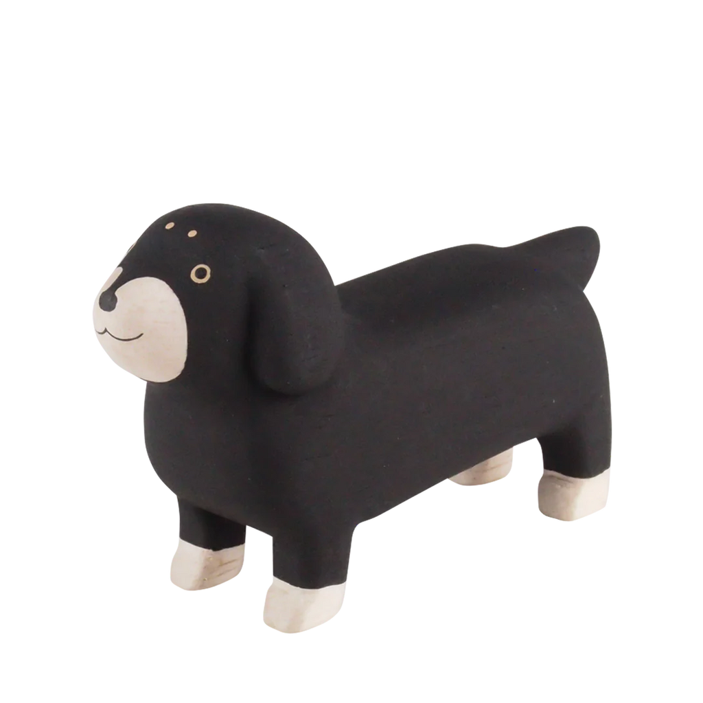 Dachshund