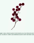 Aromatic Hand Wash: Amalgam 7