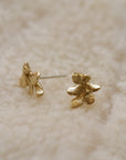 E75 Brass Studs Small