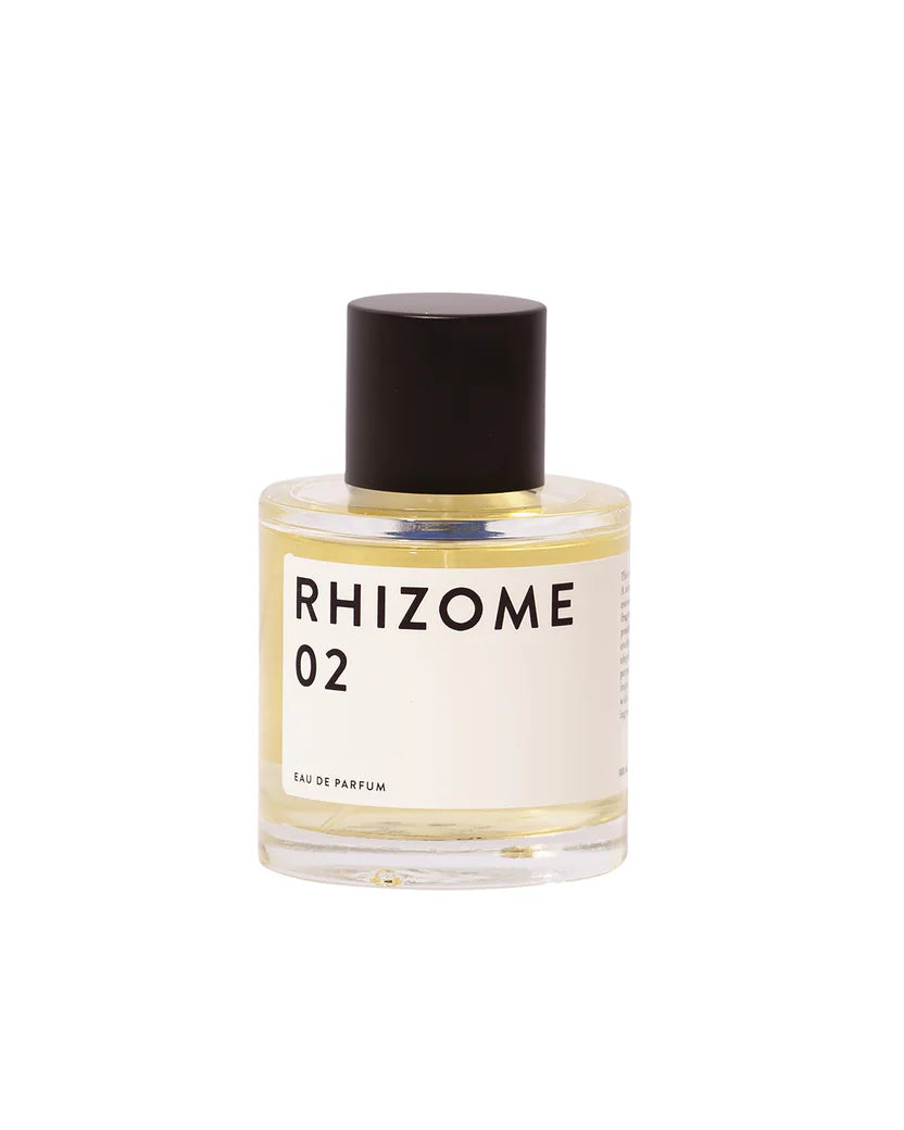 Rhizome 02