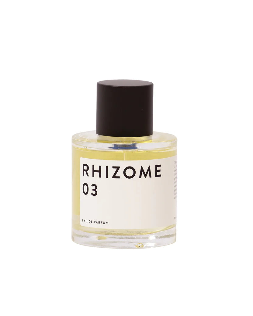 Rhizome 03