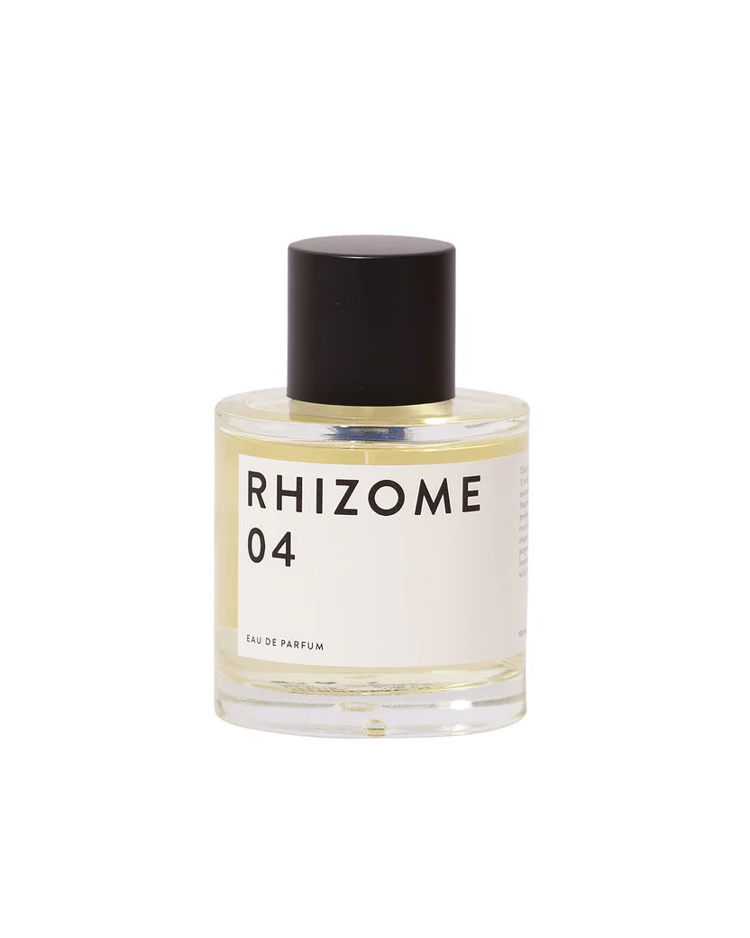 Rhizome 04