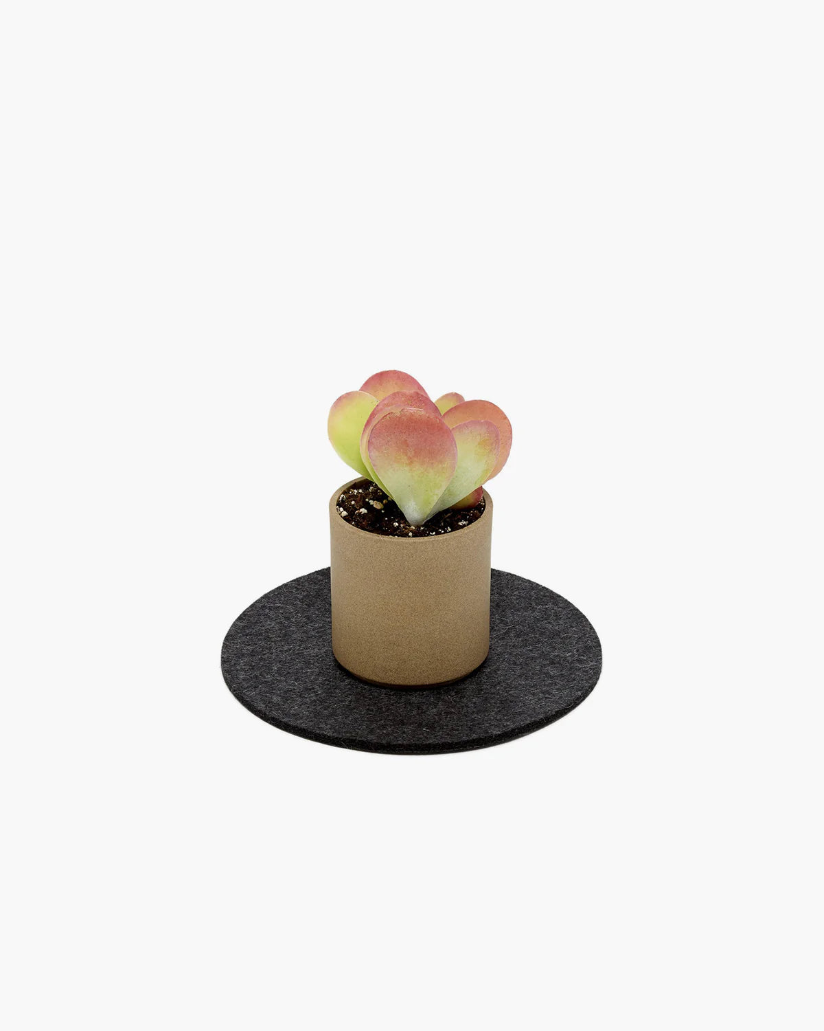 Felt Trivet 8" - Charcoal