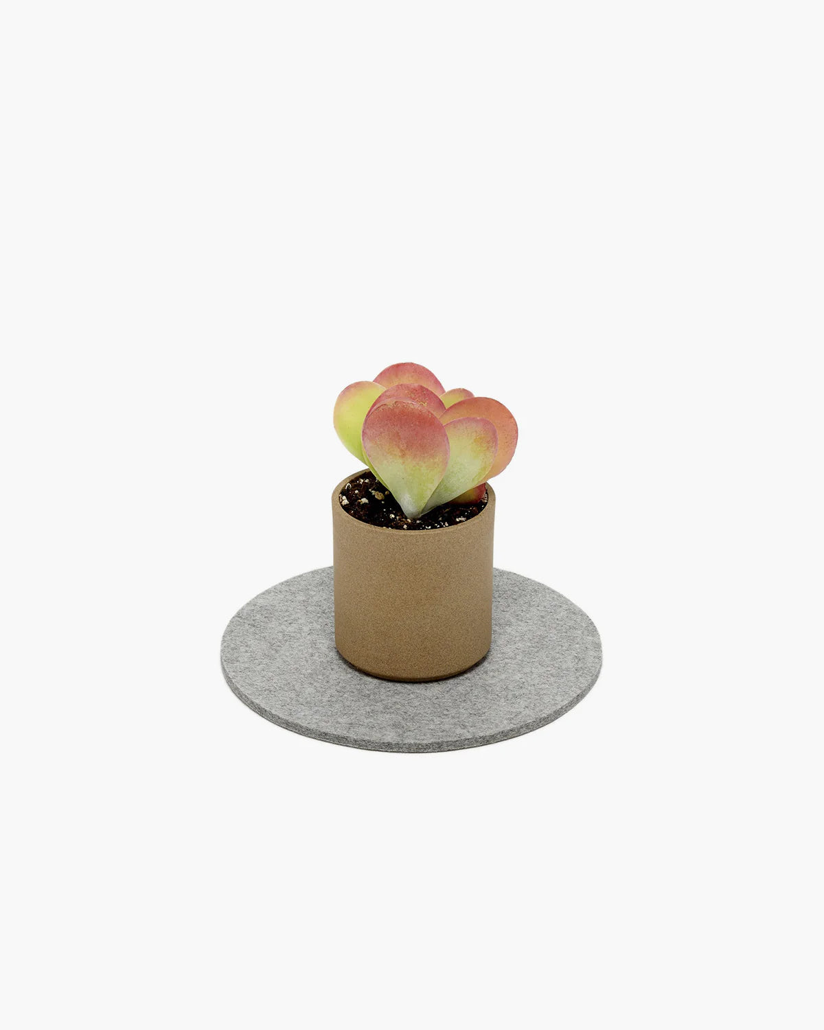 Felt Trivet 8" - Granite