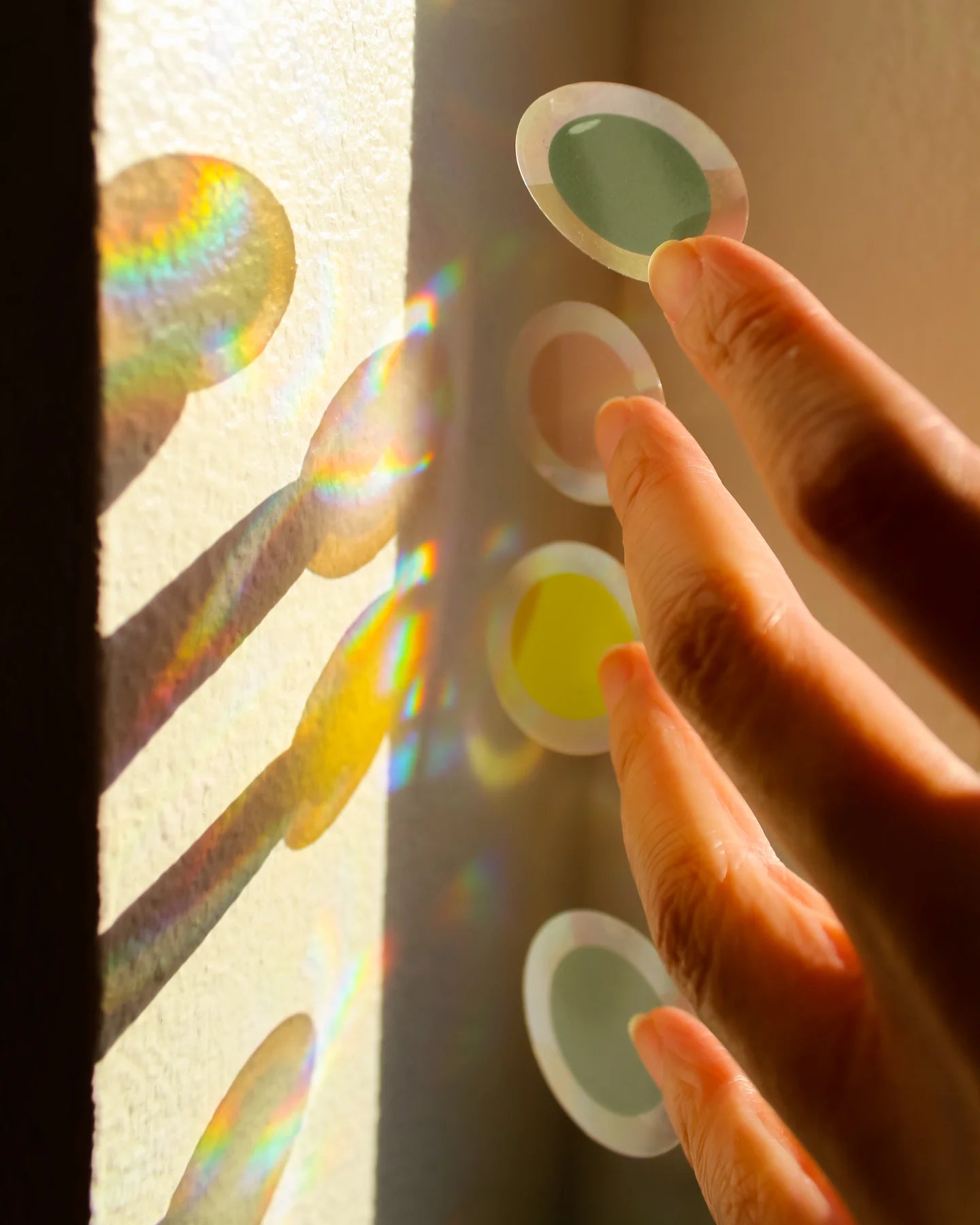 Suncatcher : Dots
