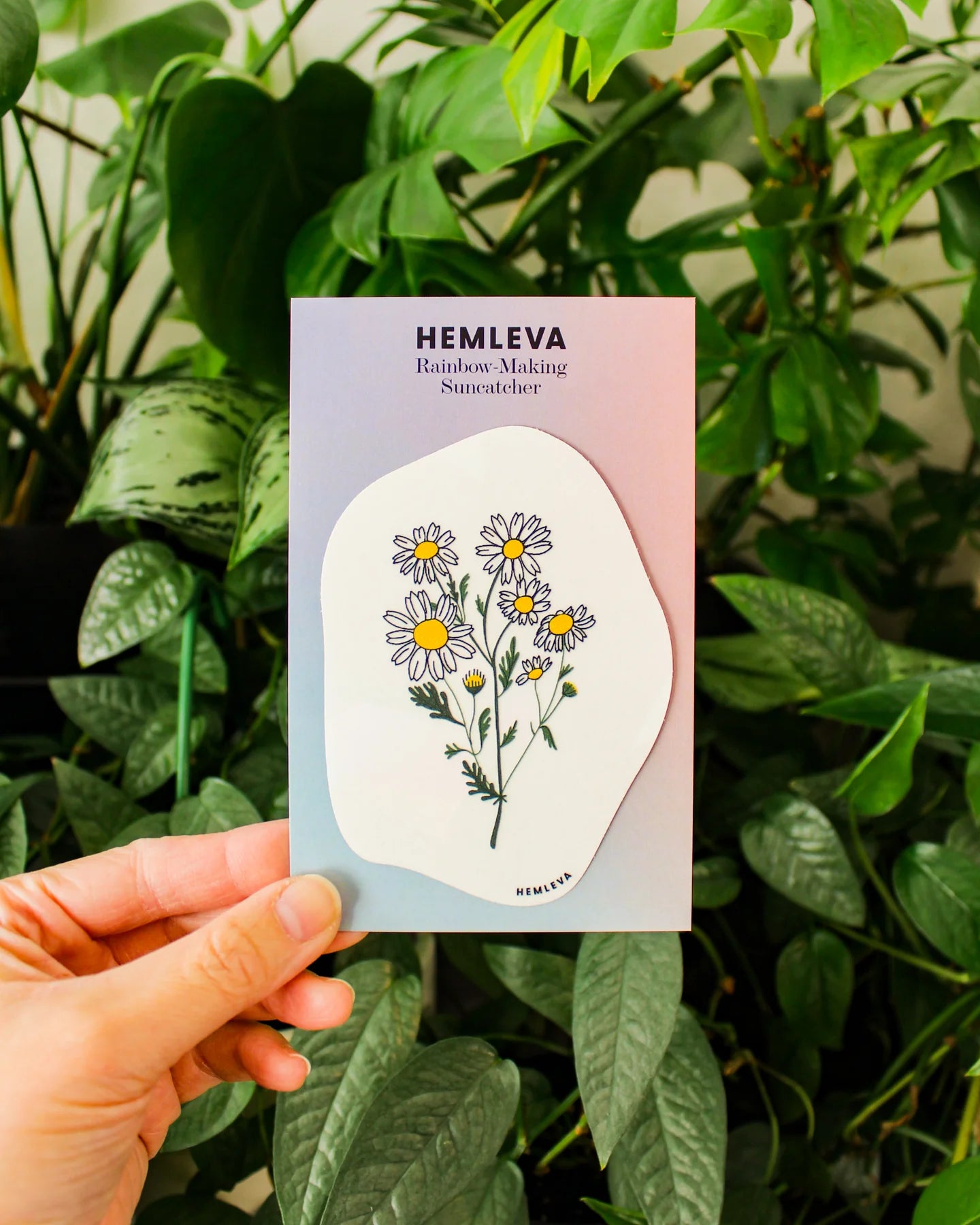 Suncatcher : Daisy