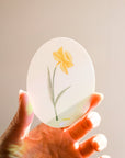 Suncatcher : Daffidil