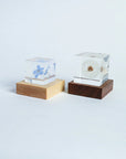 Sola Cube LED Light Base 5000K
