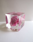 ROSE Miyabi Cube