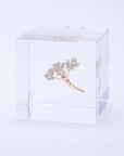 Rice Flower