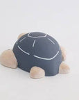 Sea Turtle