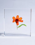 Sola Tile Zinnia - Botanical Decor Gift