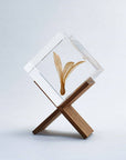 Ant Tree Cube