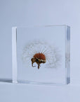 Sola Tile Dandelion - Botanical Decor Gift