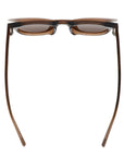 TAI | Transparent Brown | Brown Lens