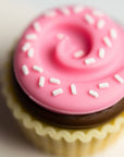 Cupcake Van