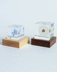 Sola Cube LED Light Base 5000K