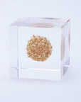 Basket Flower Cube