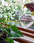 Glass Watering Can (32 fl.oz.)