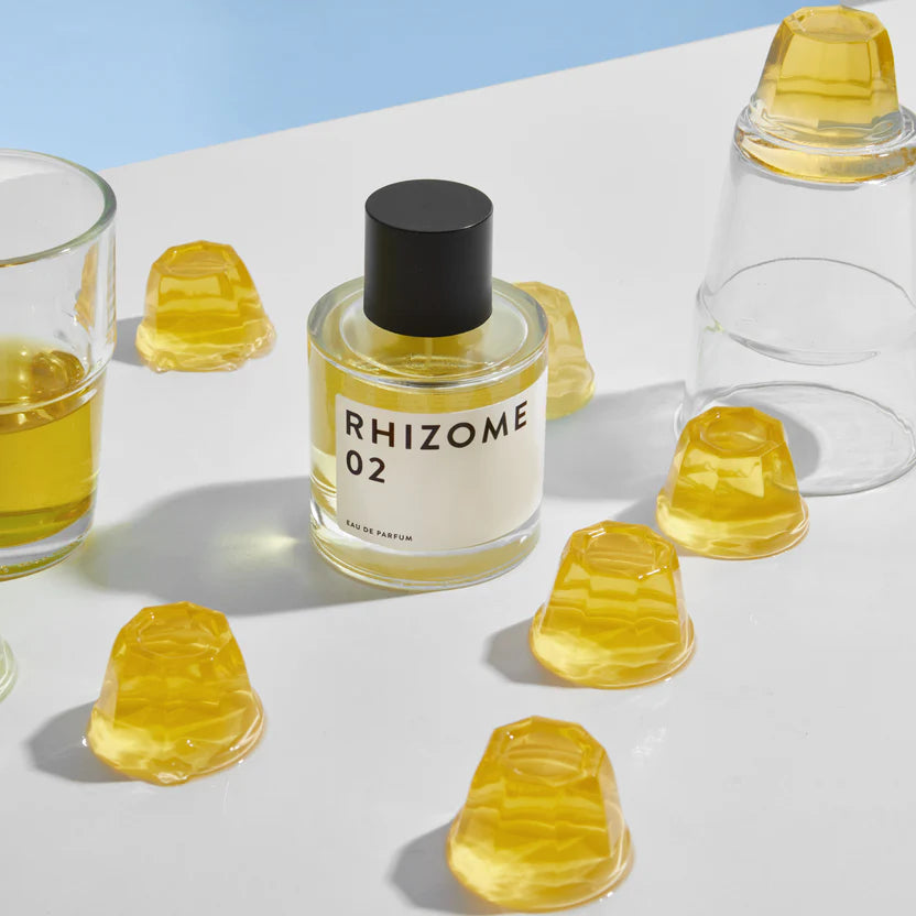 Rhizome 02