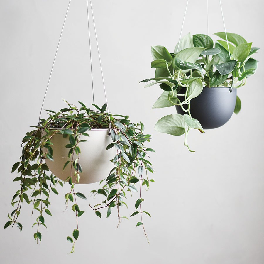 Hanging Plant Pot