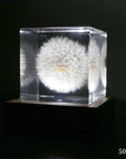 Dandelion - Large