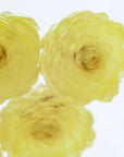 Immortelle Cube