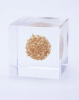 Basket Flower Cube