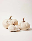 Harvest Pumpkins NATURAL