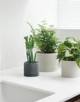 Kinto Plant Pot - Earth Gray