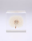 Dandelion - Large