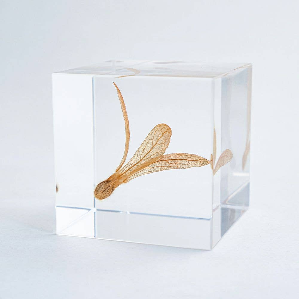 Ant Tree Cube