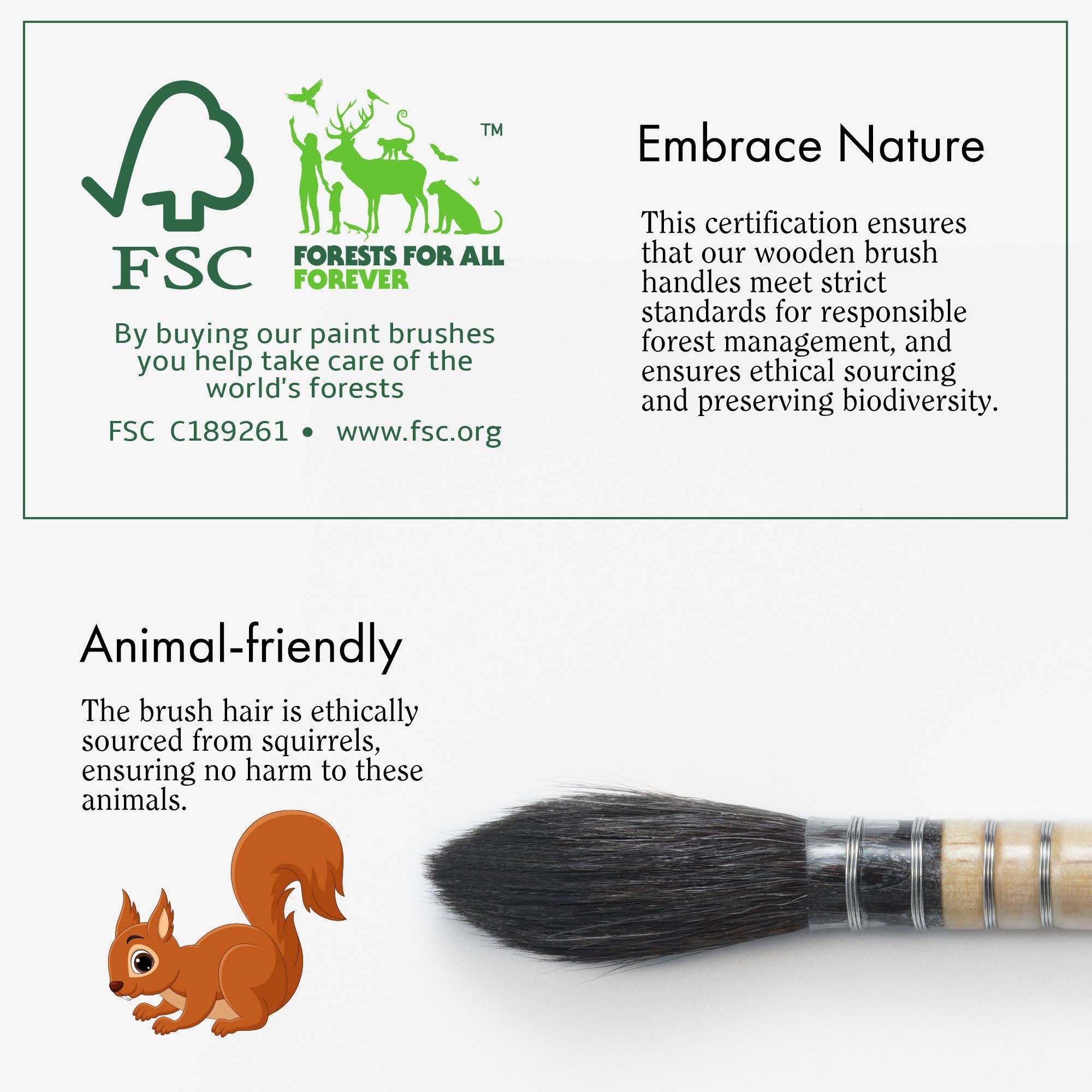 ARTIFY Professional Squirrel Hair Watercolor Brushes