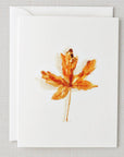 Autumn notecard set