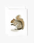 Squirrel mini notecard