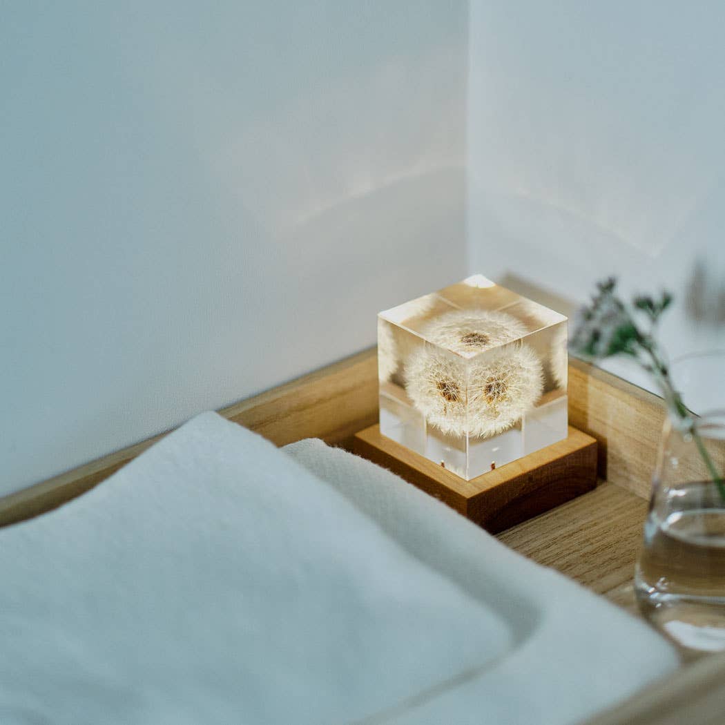 Sola Cube LED Light Base 5000K