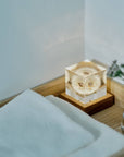 Sola Cube LED Light Base 5000K
